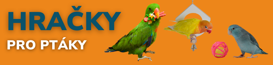 hracky pro ptaky ban